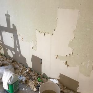 wallpaper-removal 1